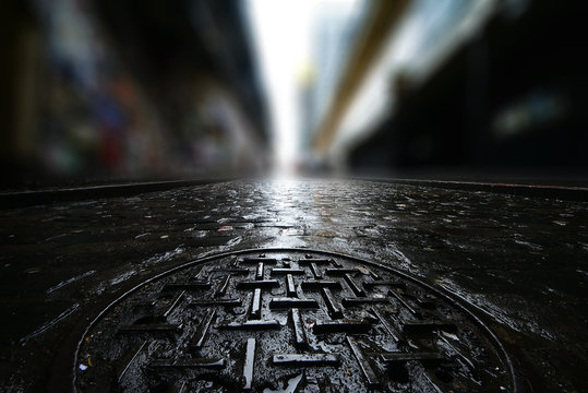 Rainy Trail