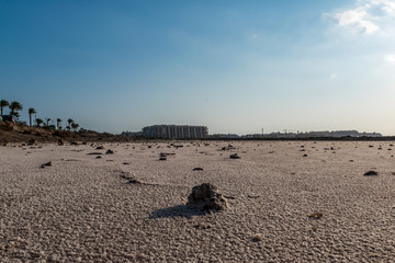 dried surface of salt after water evaporated
