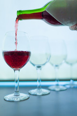 Wine tasting. 