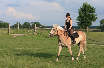 A young woman riding a horse Haflinger