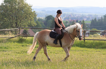 A young woman riding a horse Haflinger