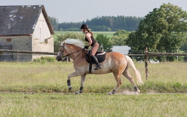 A young woman riding a horse Haflinger