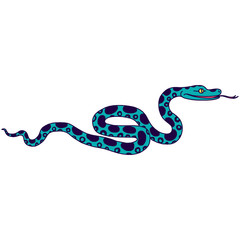 Fototapeta premium Vector illustration of tropical snake