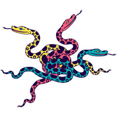 Obraz premium Vector illustration of tropical snake