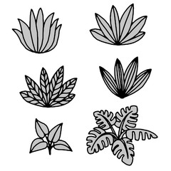 Vector tropical plants and leaves