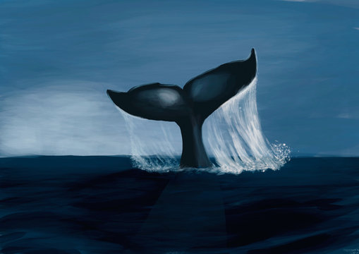 Fin of a humpack whale- Digital Painting
