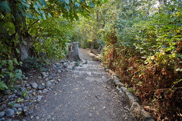 Benias park at north Israel