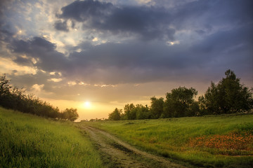 Sunset in the road