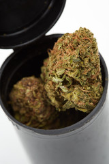 Close up of J1 strain prescription medical marijuana bud