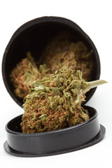 Close up of J1 strain prescription medical marijuana bud