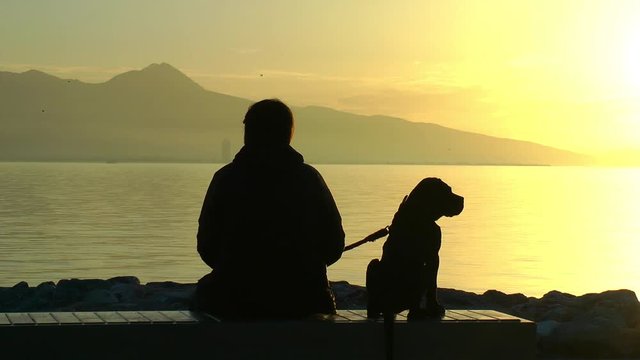 silhouette of a person with a dog at seaside