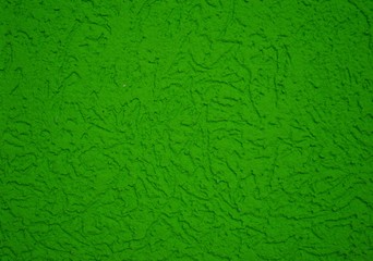 Green color painted stucco background.