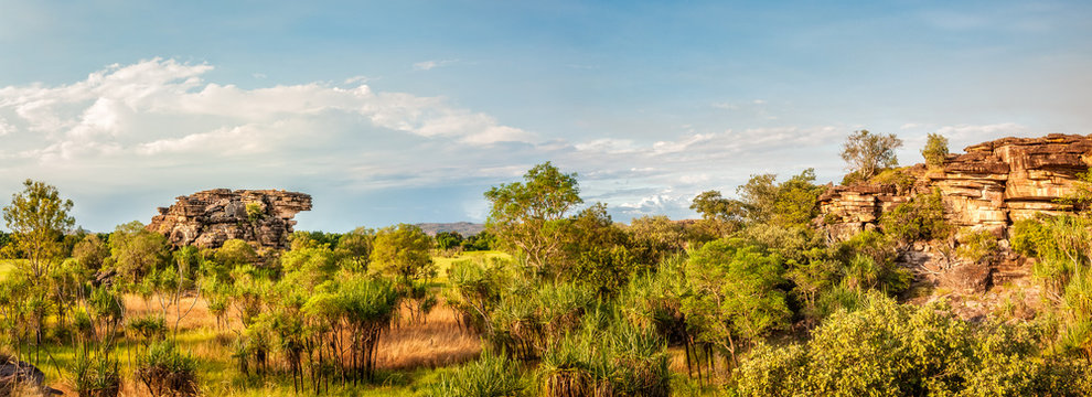 Wetlands and escarpment Panorama in Kakadu National Park -Northern Territory, Australia