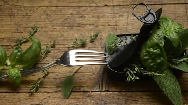 Yerb&ecirc;ye &Alpha;&rho;&omega;&mu;&alpha;&tau;&iota;&kappa;ά &phi;&upsilon;&tau;ά Pianta aromatica Plante aromatique نبات عطري Ароматичне биљке கறி மூலிகைகள் Plantas arom&aacute;ticas Piante aromatiche Aromatic plants aromatische Pflanzen rośliny aromatyczne 

