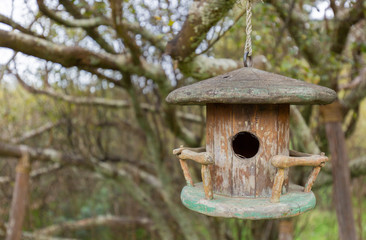 Vogelhaus im Garten