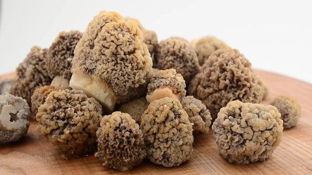 Mushrooms morels on a wooden board.