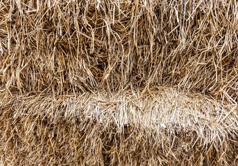 straw or thatch texture or background, close up, countryside or rural farm concept