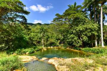 Fototapeta premium El Nicho Waterfalls in Cuba