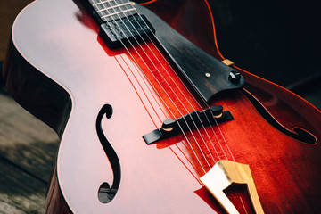 Hollow Body Electric Guitar Details