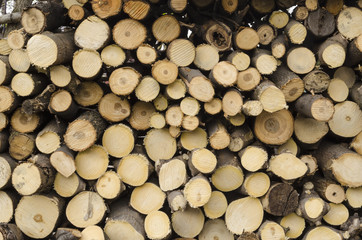 Wooden rods for drying