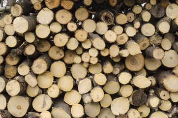 Möbelaufkleber Wooden rods for drying © ncikname