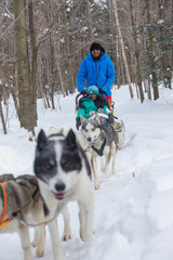 Indian Couple Dogsledding