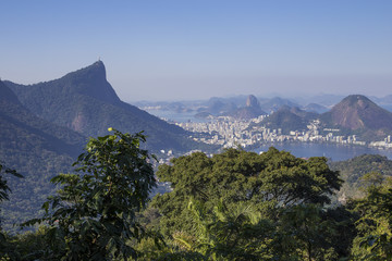 Fototapeta na wymiar Rio de Janeiro seen from the mountains