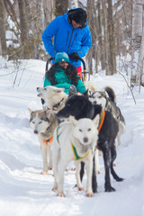 Indian Couple Dogsledding