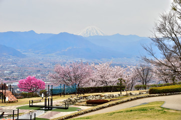 笛吹川フルーツ公園　富士山