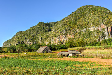 Vinales Valley Panorama - Cuba