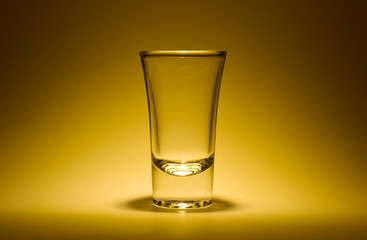 Solo Wine Glass Cup