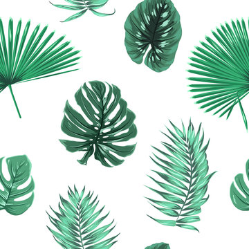 Exotic tropical jungle rain forest palm tree leaves branch monstera ficus seamless pattern. Floating isolated green elements on white background. Vector design illustration fashion, fabric, textile.
