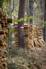 Brennholz,Wald