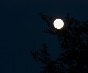 Glowing Full Moon 2