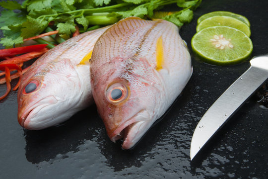 delicious portion of fresh fish fillet with aromatic herbs spices