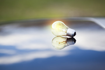 light bulb in nature background