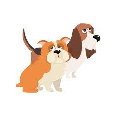 Couple of cute, funny dog characters - purebred basset hound and English bulldog, cartoon vector illustration isolated on white background. Lovely bulldog and basset hound characters, dog breeds