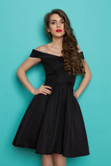 Fototapeta premium Elegant Beautiful Young Woman In Black Cocktail Dress