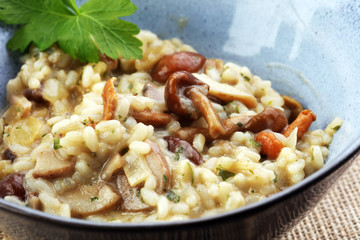 risotto with mushrooms, fresh herbs and parmesan cheese.