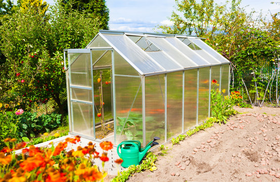 Greenhouse in the garden.