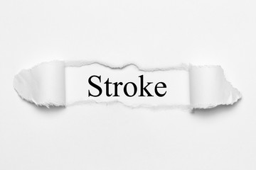 Stroke on white torn paper