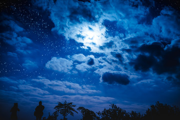 Attractive of amazing blue dark night sky with stars and cloudy above field of trees.