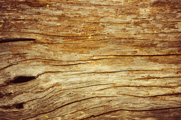 Naklejka na ściany i meble Beautiful brown wood of textured for background.