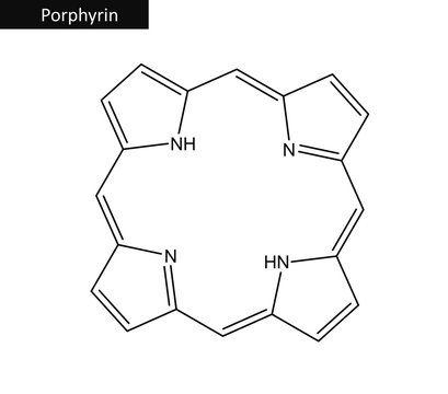 Molecular structure of Porphin