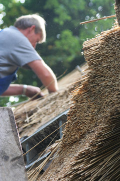 Thatcher thatching a roof 