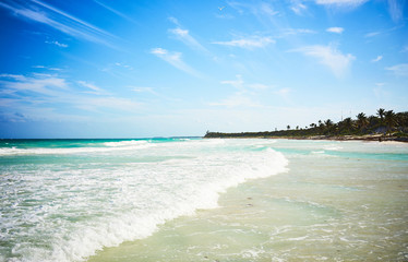 Untouched paradise under marvelous coconut trees / Tropical beach of Tulum in Mexico