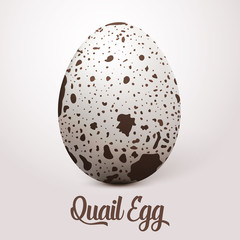 Vector realistic white egg with spots. On light background with soft shadow. 3D Quail Egg.
