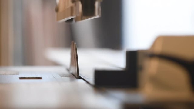 Handwerker zerkleinert Leisten mit einer Tischkreiss&auml;ge