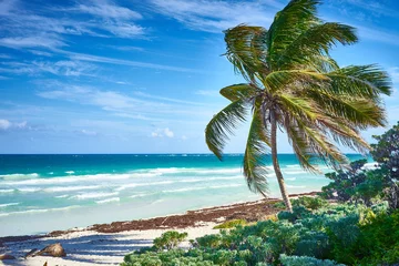 Unberührtes Paradies unter herrlichen Kokospalmen / Tropischer Strand von Tulum in Mexiko © marako85