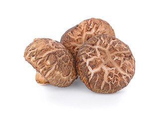 Shiitake mushroom on the White background